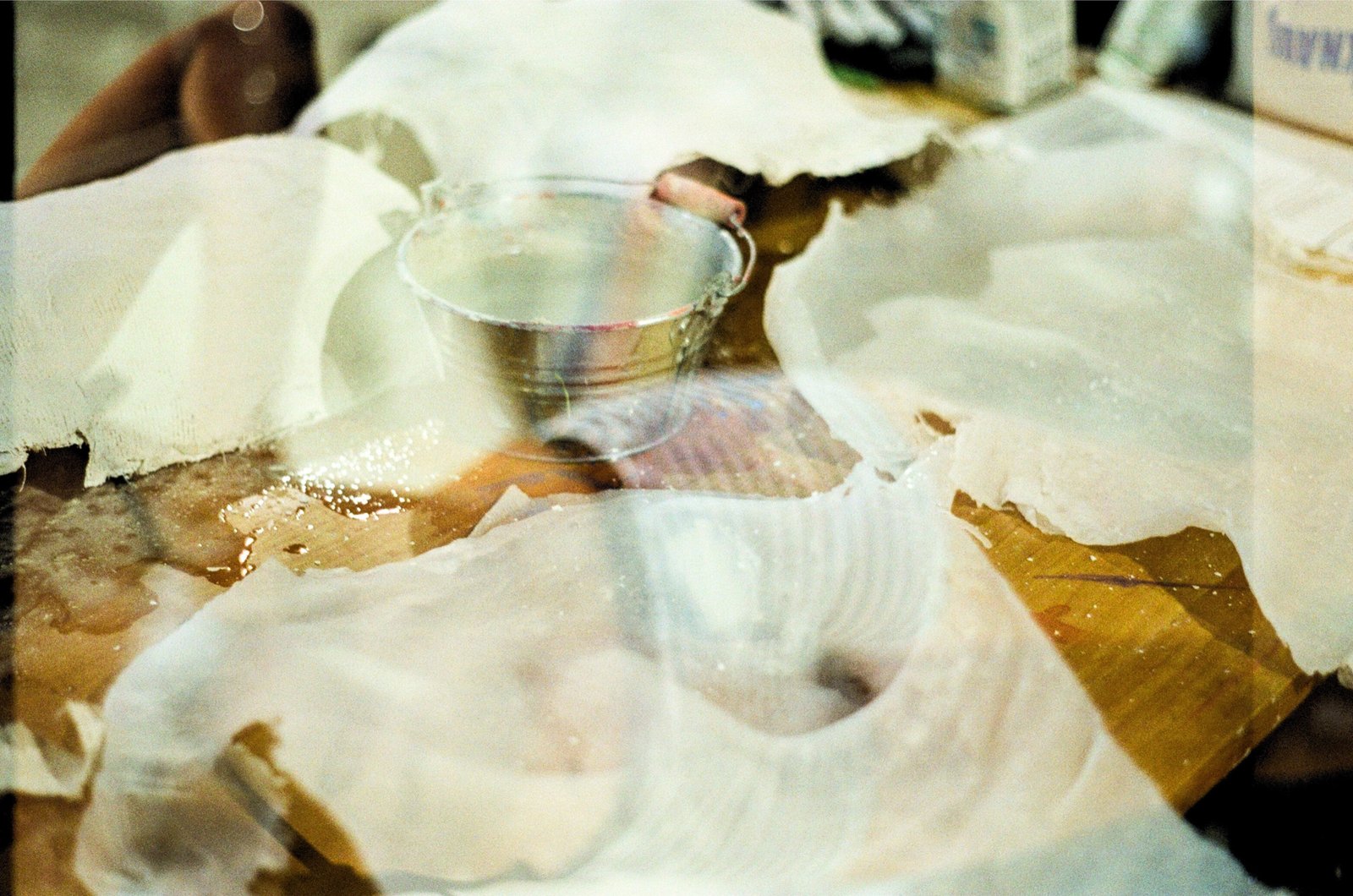 Analoge Doppelbelichtung von Arbeitsmaterialien und transluzenten Formen — Motiv Häutung